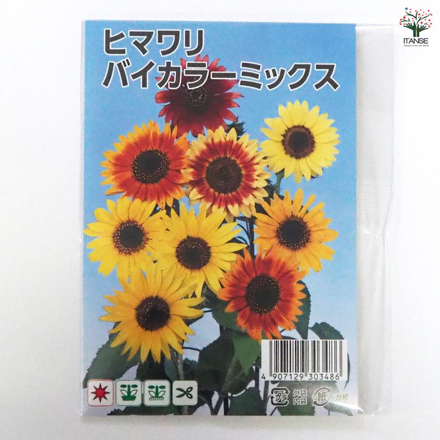 種子 ヒマワリ バイカラーミックス 約50粒/1袋売り 種 seed タネ 植物