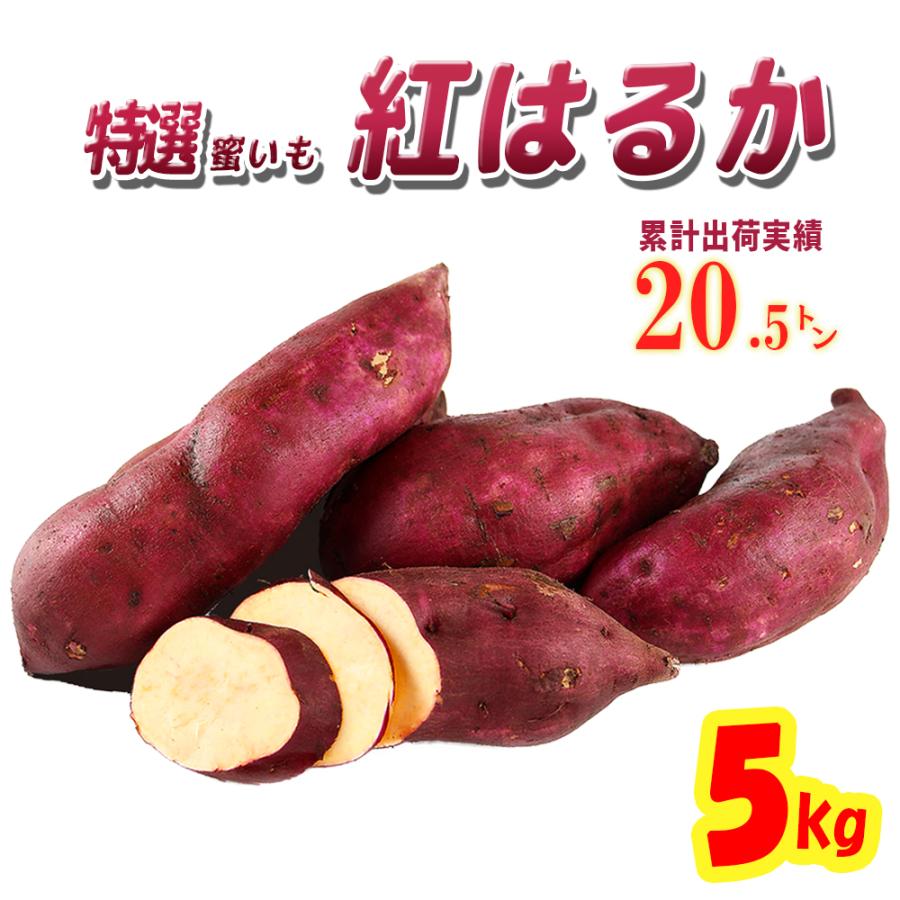 さつまいも 紅はるか 5kg 茨城県産 買い物 2021秋 薩摩芋 べにはるか 新芋土つき 送料無料 お得セット 蜜芋