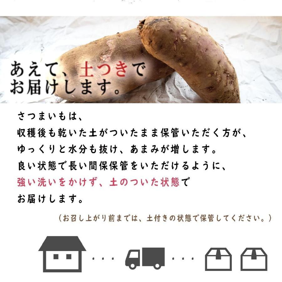 ITANSE さつまいも 紅はるか 茨城県産 30kg 2024秋 新芋土つき ITANSE さつまいも 紅はるか 茨城県産 30kg 2024秋 新芋土つき