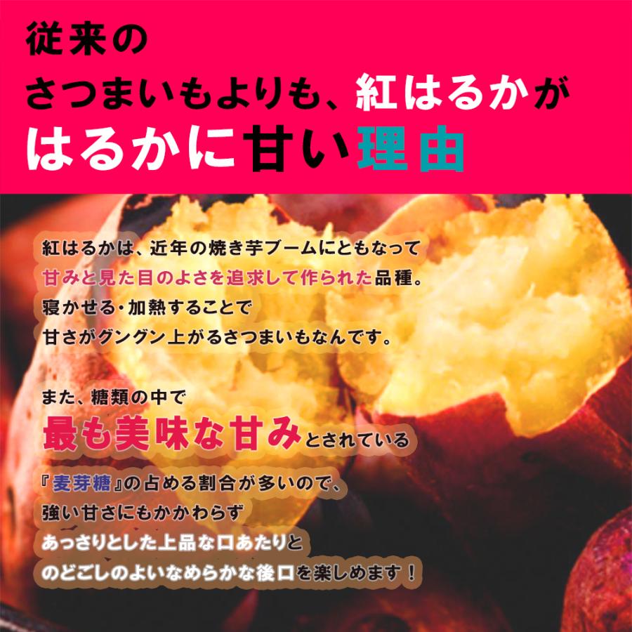 ITANSE さつまいも 紅はるか 茨城県産 50kg 2023秋 新芋土つき べにはるか 薩摩芋 蜜芋 送料無料 イタンセ公式｜itanse｜04