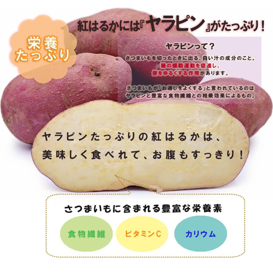 ITANSE さつまいも 紅はるか 茨城県産 50kg 2024秋 新芋土つき ITANSE さつまいも 紅はるか 茨城県産 50kg 2024秋 新芋土つき