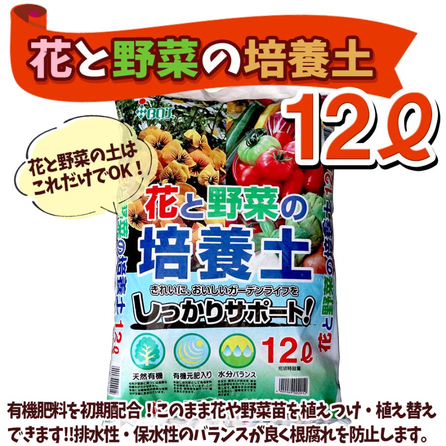 ITANSE いちご苗栽培セット(すずなりいちご9cmポット3個／取っ手付