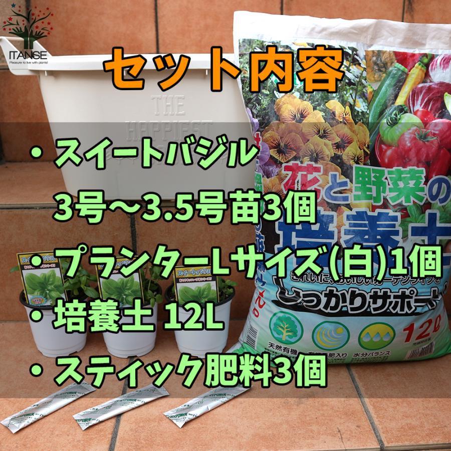 送料無料 夏すずみ 栽培キット 9 10 5cm 野菜の苗 スターターセット お買い得 栽培セット お買い得2個セット キュウリ