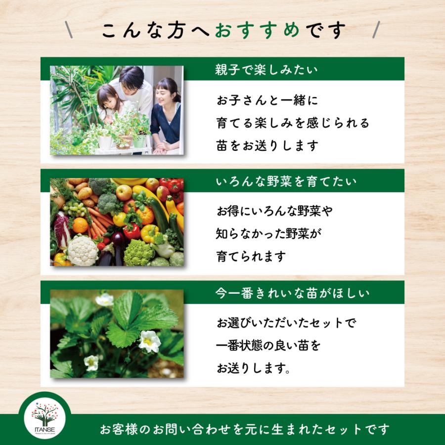おまかせ野菜セット 季節野菜 野菜の苗 3.5号/お買い得4個セット 