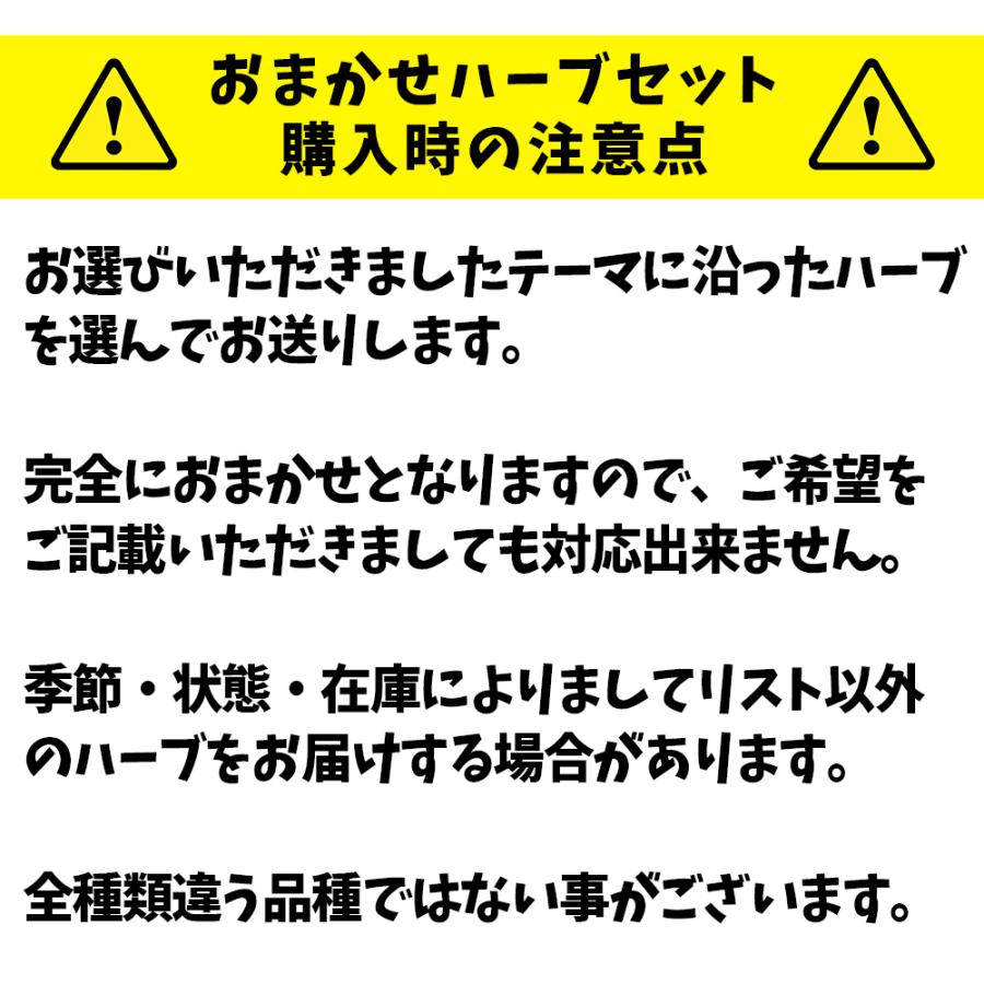 ITANSE ハーブ苗 おまかせハーブ 10.5cmポット 3個セット＋資材セット(白) 送料無料 おうちで簡単！育てやすいハーブ苗シリーズ！ イタンセ公式｜itanse｜06