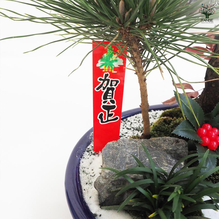 お正月飾り 花梅 迎春寄植えアレンジ【桃花一重】 正月飾り 大皿11号/1