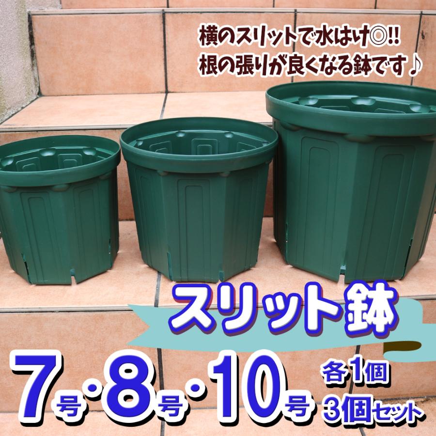 人気の植木鉢 スリット鉢 7号 8号 10号 各1個 合計3個セット 野菜 花 果樹 ハーブのプランターとして人気 送料無料 You 野菜苗 植物 青果物販売のitanse 通販 Yahoo ショッピング