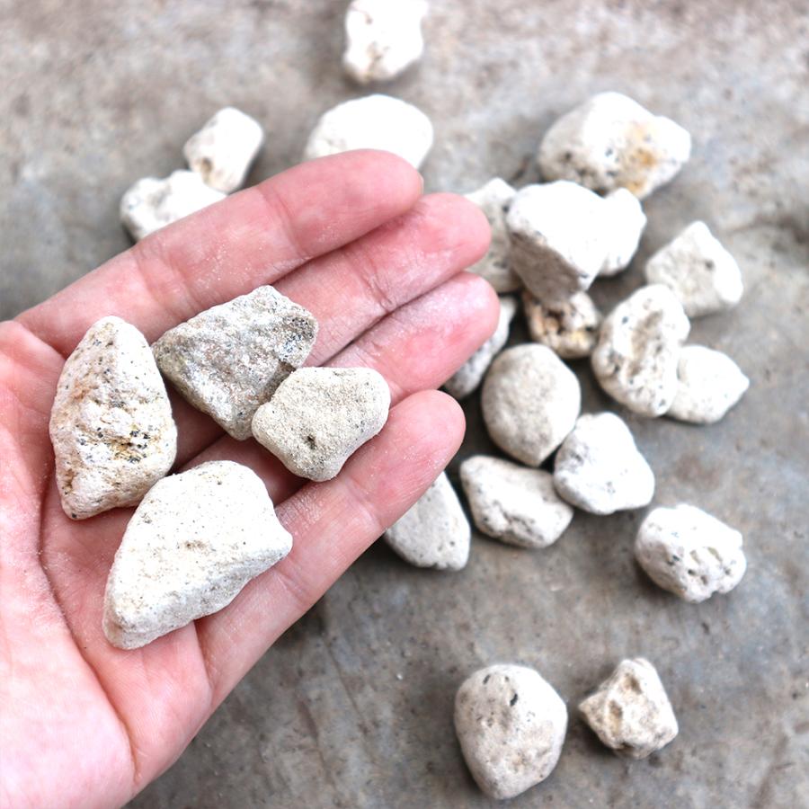 鉢底石 5l袋 1個 水はけ改善 何回も再利用可能 送料無料 You00020 野菜苗 植物 青果物販売のitanse 通販 Yahoo ショッピング