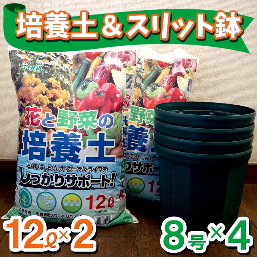 忍者戦隊カクレンジャー ニンジャレッド アクリルスタンド ブロマイド