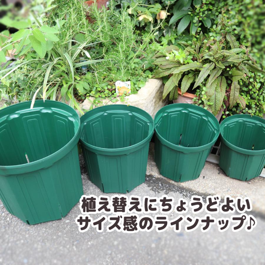 ITANSE 人気の植木鉢 スリット鉢 10号 6個セット 野菜 花 果樹 ハーブ