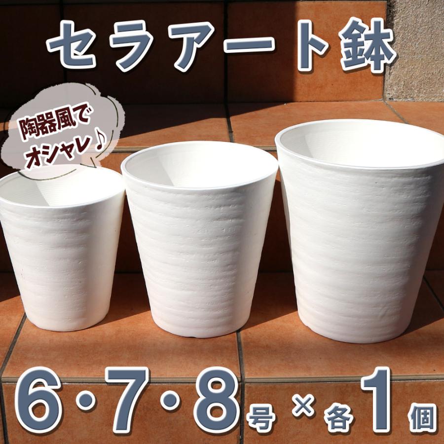 ITANSE セラアート 長鉢 白 6号7号8号各1個 プラスチック鉢 表面 ITANSE セラアート 長鉢 白 6号7号8号各1個 プラスチック鉢 表面