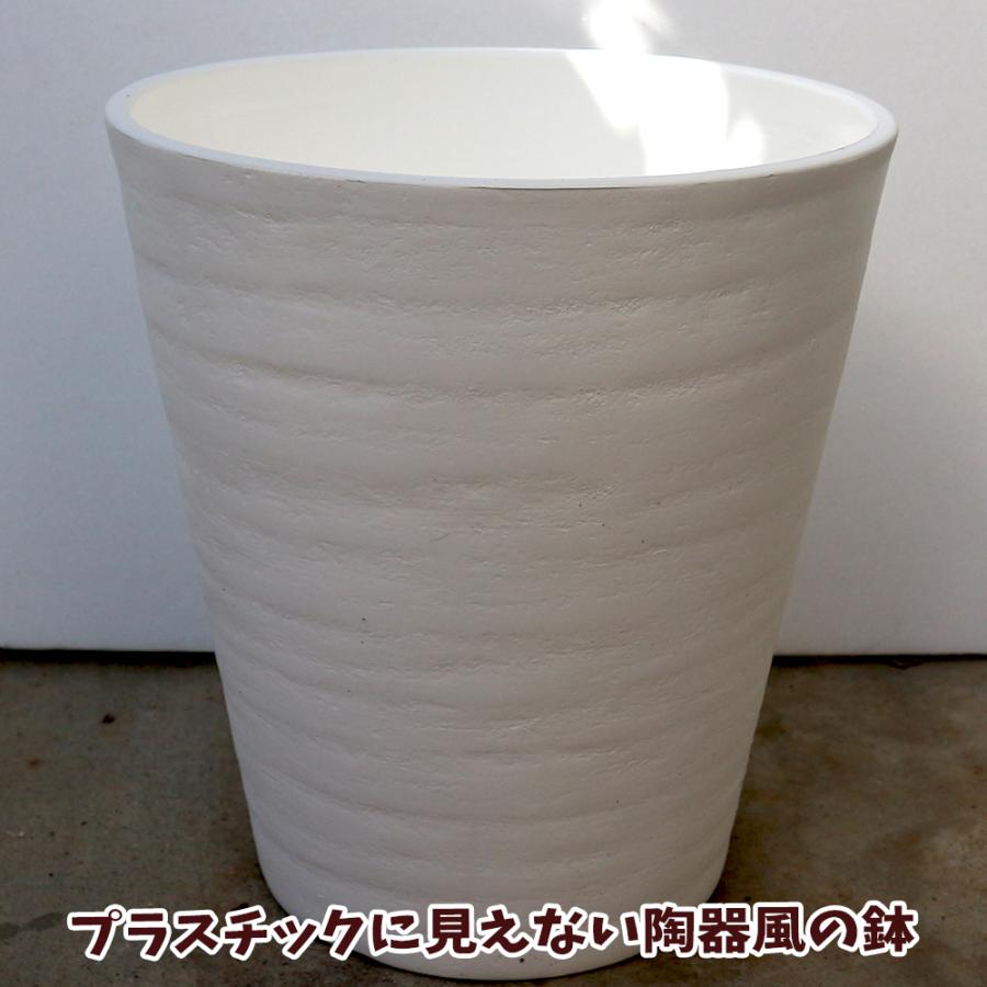 ITANSE セラアート 長鉢 白 6号7号8号各1個 プラスチック鉢 表面が陶器