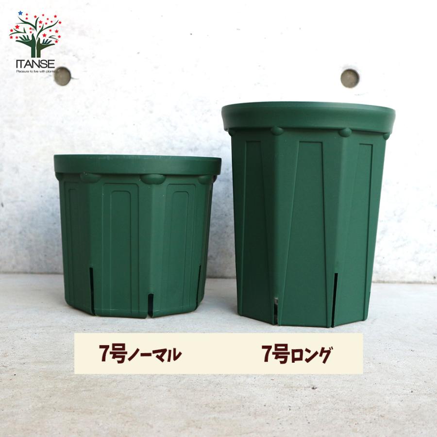 長火鉢 ITANSE スリット鉢 資材 7号ロングサイズ 1個売り鉢 ポット プランター