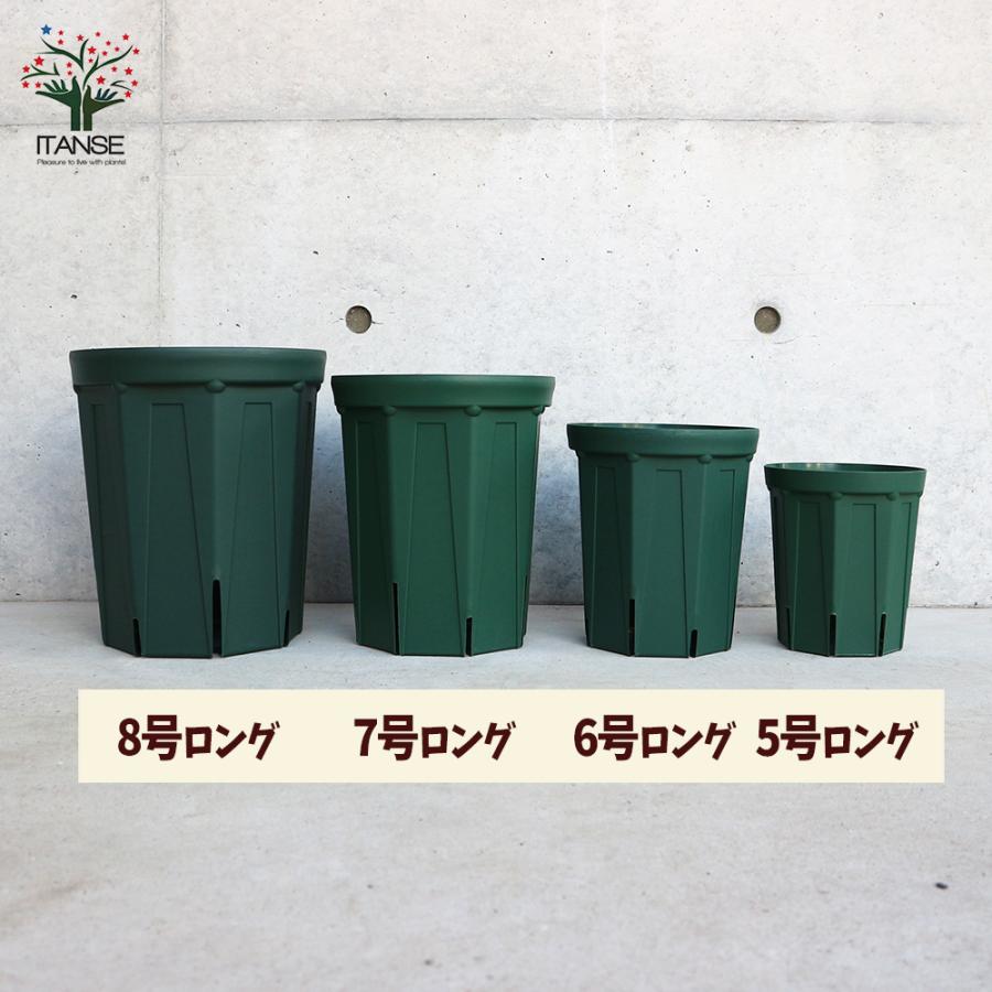 ITANSE スリット鉢 資材 7号ロングサイズ 1個売り鉢 ポット プランター