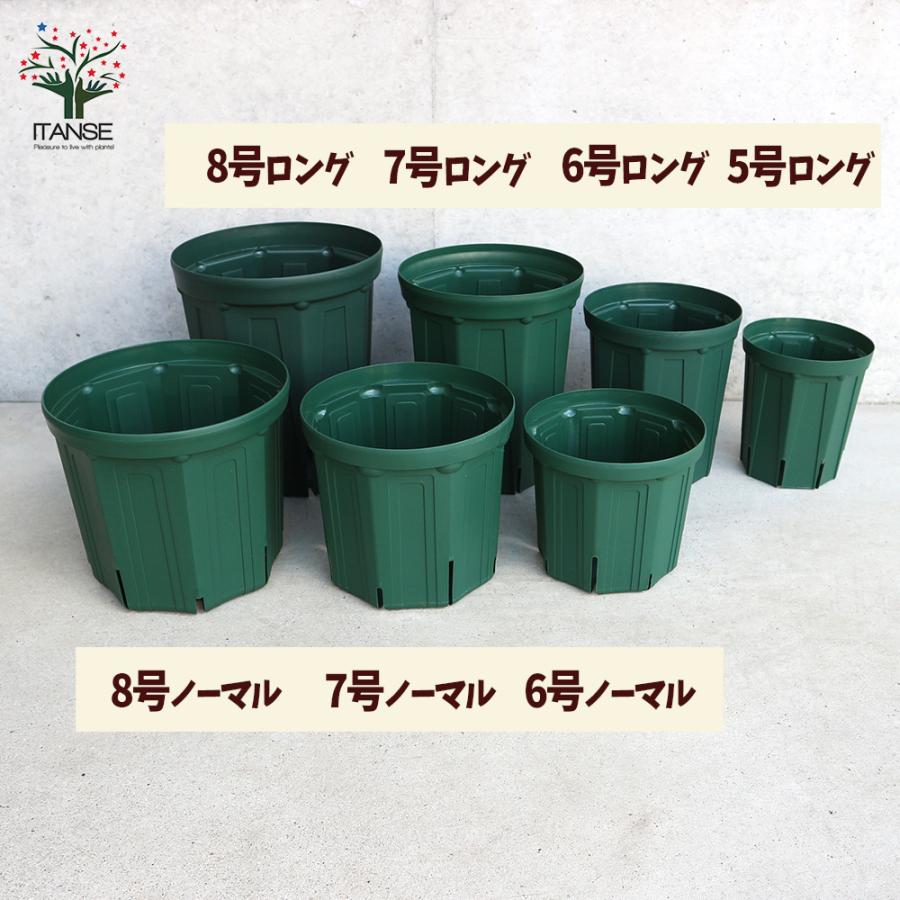 ITANSE スリット鉢 資材 7号ロングサイズ 1個売り鉢 ポット プランター