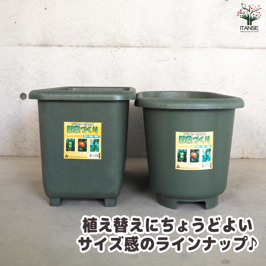 ITANSE eco菜園プランター 鉢色：ダークグリーン 深65型 お買い得3個セット ポット プランター 菜園鉢 家庭菜園 ガーデニング 送料無料 イタンセ公式の画像