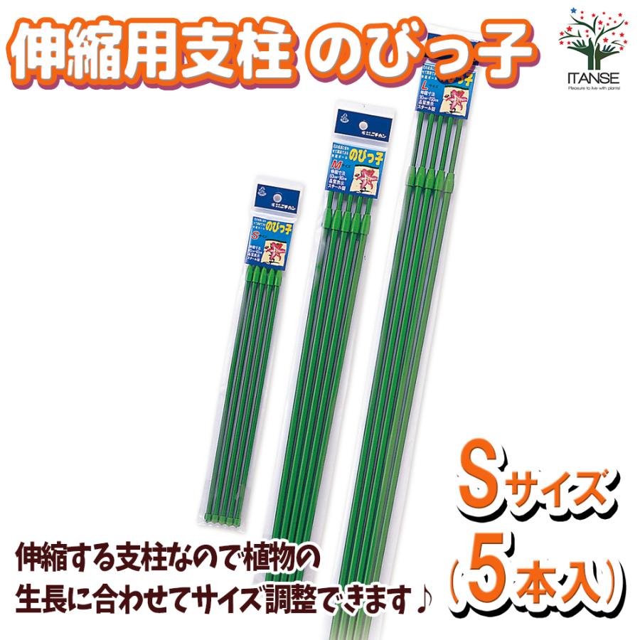 伸縮用支柱 のびっ子 Sサイズ5本入 植物用支柱　30袋入り ITANSE 伸縮用支柱 のびっ子 Sサイズ (5本入) 資材 1個売り 庭木 植木