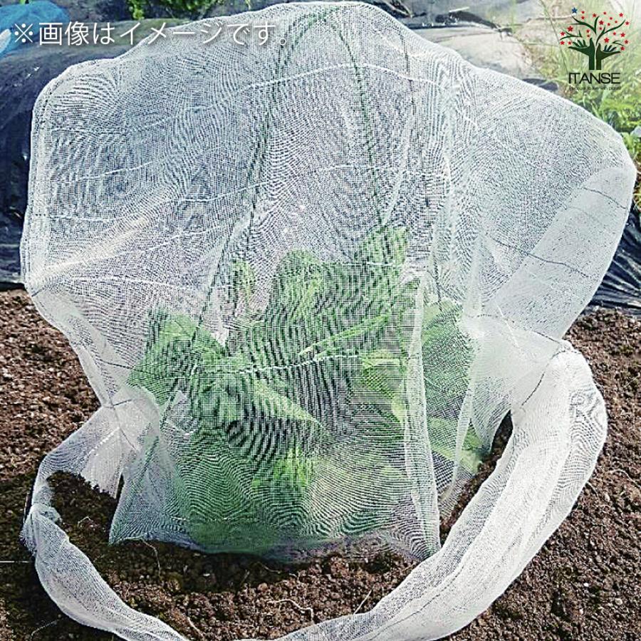 ITANSE 防虫ネットセット 丸鉢用 資材 1個売り 庭木 植木 花木 観賞用