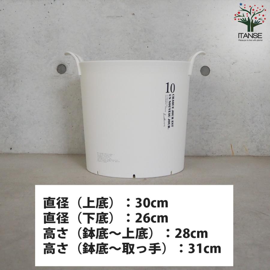 ITANSE ハンドリーポット ホワイト 10号 資材 /お買い得3個セット 植木鉢 鉢植え 鉢 取っ手 おしゃれ 野菜 花 イタンセ公式の画像