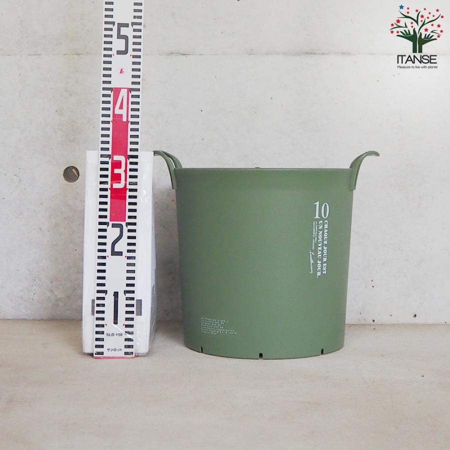 ITANSE ハンドリーポット グリーン 10号 資材 /お買い得3個セット 植木鉢 鉢植え 鉢 取っ手 おしゃれ 野菜 花 イタンセ公式の画像