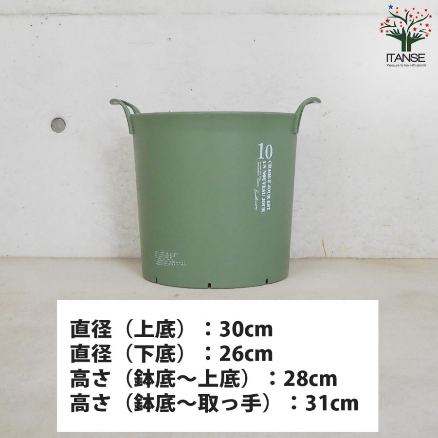 ITANSE ハンドリーポット グリーン 10号 資材 /お買い得3個セット 植木鉢 鉢植え 鉢 取っ手 おしゃれ 野菜 花 イタンセ公式の画像