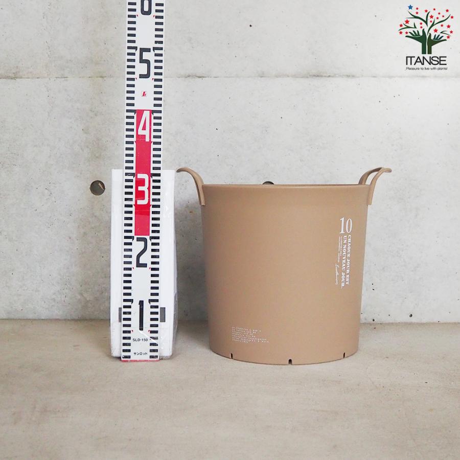 ITANSE ハンドリーポット ブラウン 10号 資材 /お買い得3個セット 植木鉢 鉢植え 鉢 取っ手 おしゃれ 野菜 花 イタンセ公式の画像