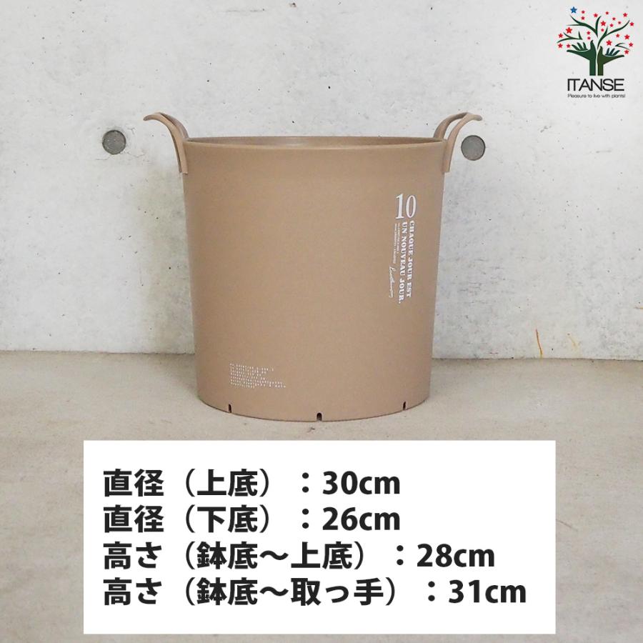 ITANSE ハンドリーポット ブラウン 10号 資材 /お買い得3個セット 植木鉢 鉢植え 鉢 取っ手 おしゃれ 野菜 花 イタンセ公式の画像