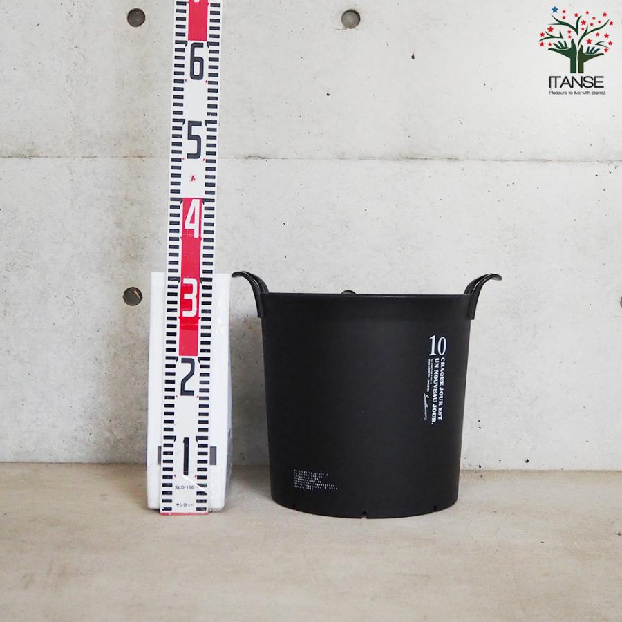ITANSE ハンドリーポット ブラック 10号 資材 /お買い得3個セット 植木鉢 鉢植え 鉢 取っ手 おしゃれ 野菜 花 イタンセ公式の画像
