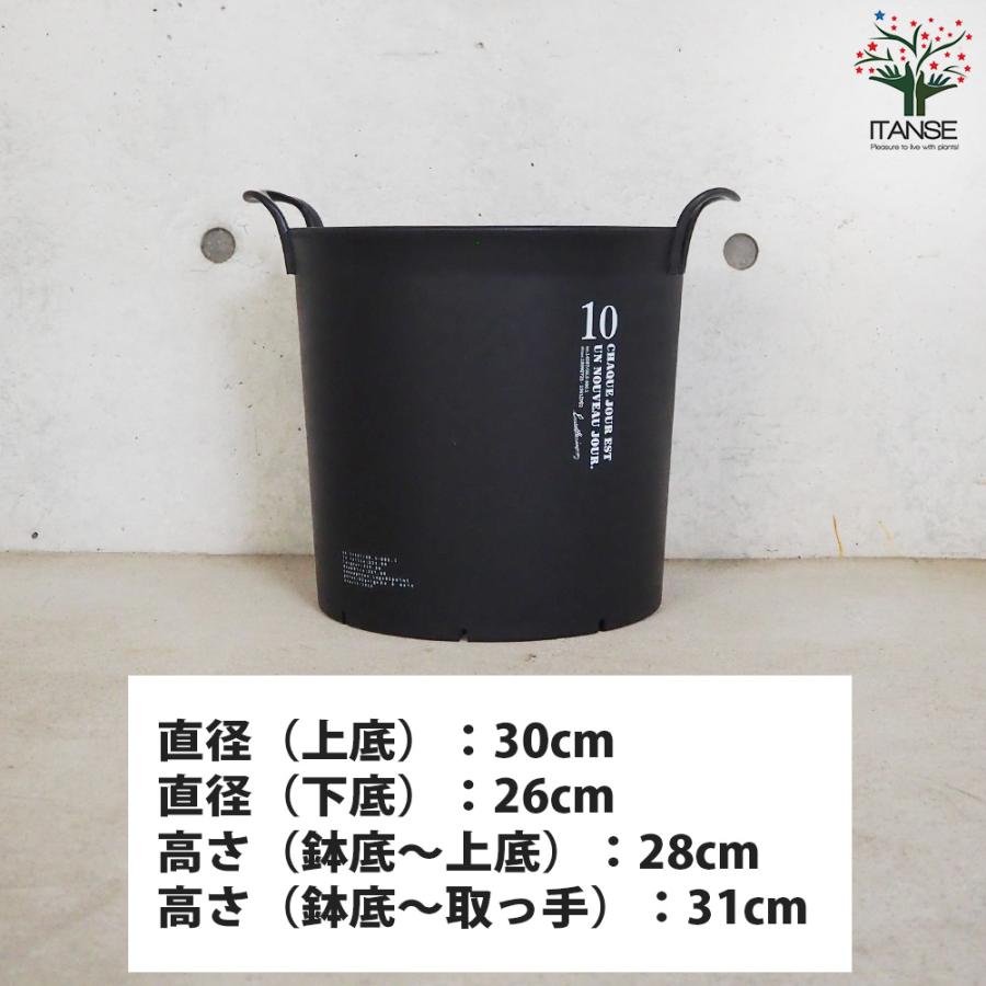 ITANSE ハンドリーポット ブラック 10号 資材 /お買い得3個セット 植木鉢 鉢植え 鉢 取っ手 おしゃれ 野菜 花 イタンセ公式の画像