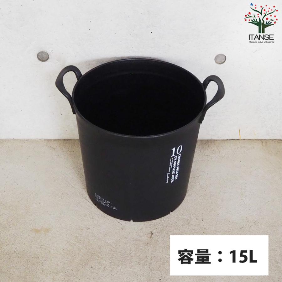 ITANSE ハンドリーポット ブラック 10号 資材 /お買い得3個セット 植木鉢 鉢植え 鉢 取っ手 おしゃれ 野菜 花 イタンセ公式の画像
