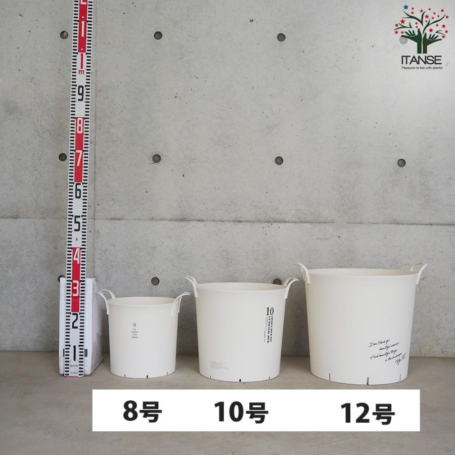 ITANSE ハンドリーポット ホワイト 8号・10号・12号各1個 資材 /1個売り 植木鉢 鉢植え 鉢 取っ手 野菜 花 イタンセ公式の画像