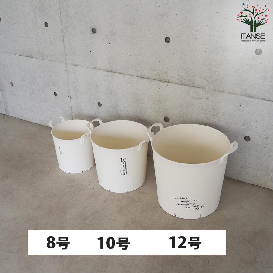 ITANSE ハンドリーポット ホワイト 8号・10号・12号各1個 資材 /1個売り 植木鉢 鉢植え 鉢 取っ手 野菜 花 イタンセ公式の画像