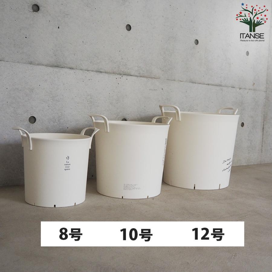 ITANSE ハンドリーポット ホワイト 8号・10号・12号各1個 資材 /1個売り 植木鉢 鉢植え 鉢 取っ手 野菜 花 イタンセ公式の画像