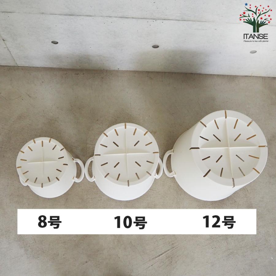ITANSE ハンドリーポット ホワイト 8号・10号・12号各1個 資材 /1個売り 植木鉢 鉢植え 鉢 取っ手 野菜 花 イタンセ公式の画像