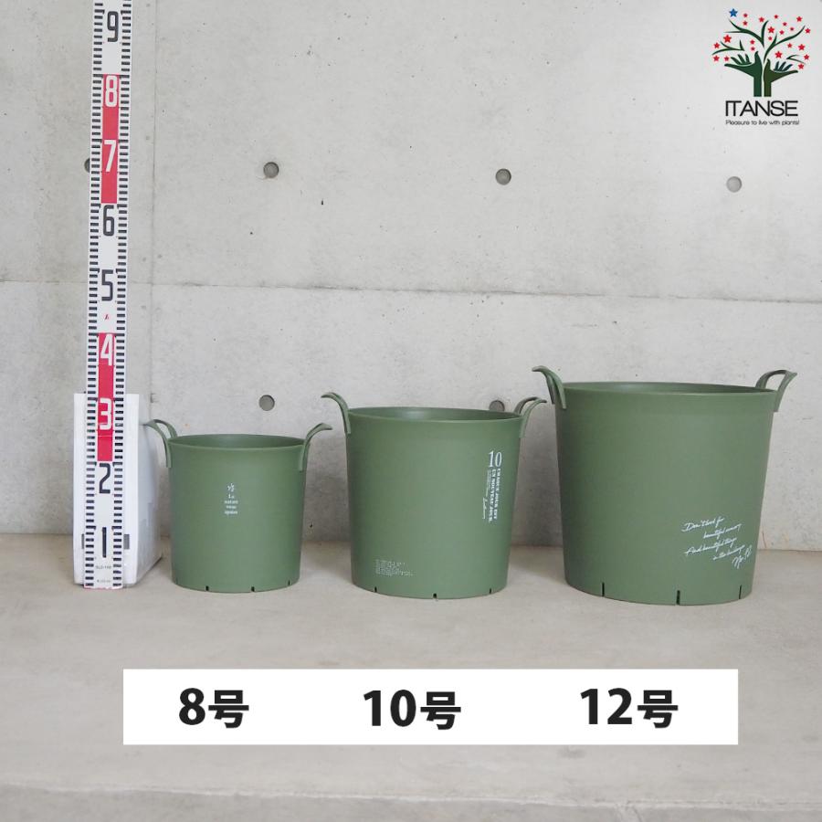 ITANSE ハンドリーポット グリーン 8号・10号・12号各1個 資材 /1個売り 植木鉢 鉢植え 鉢 取っ手 野菜 花 イタンセ公式の画像