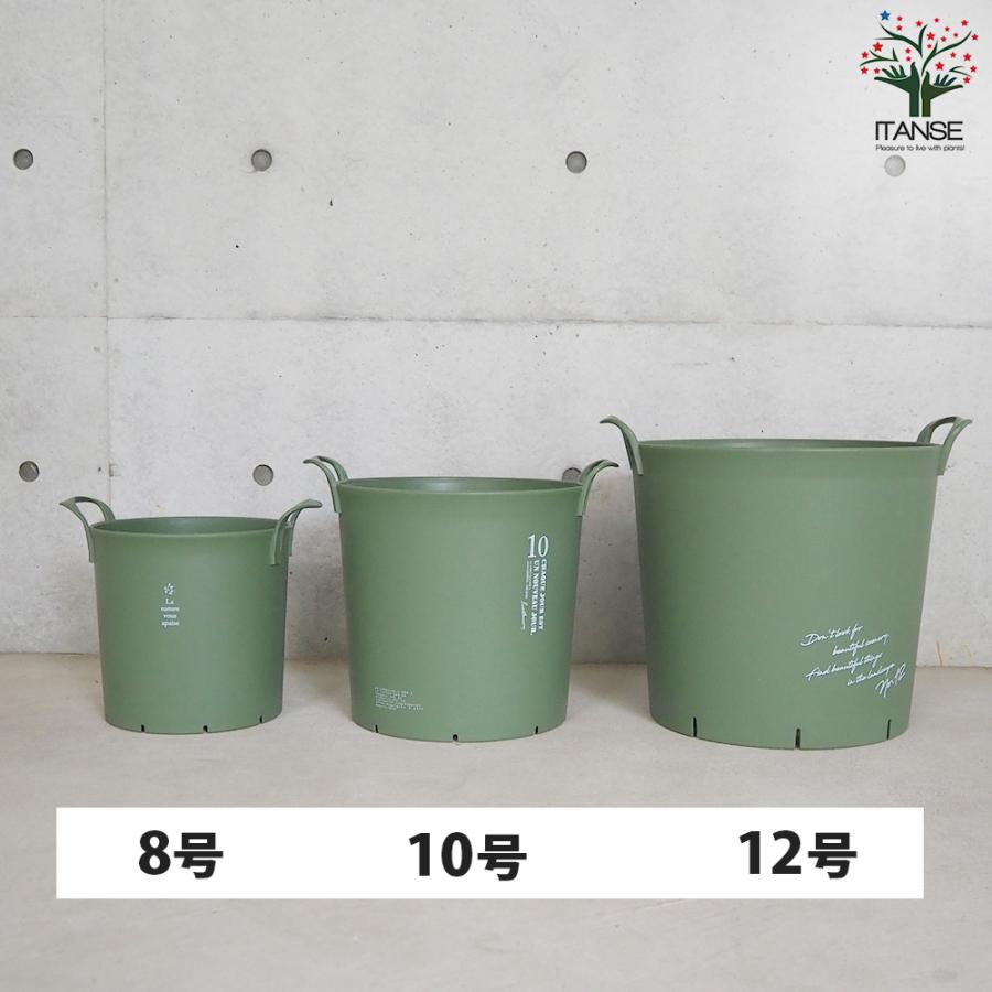 ITANSE ハンドリーポット グリーン 8号・10号・12号各1個 資材 /1個売り 植木鉢 鉢植え 鉢 取っ手 野菜 花 イタンセ公式の画像