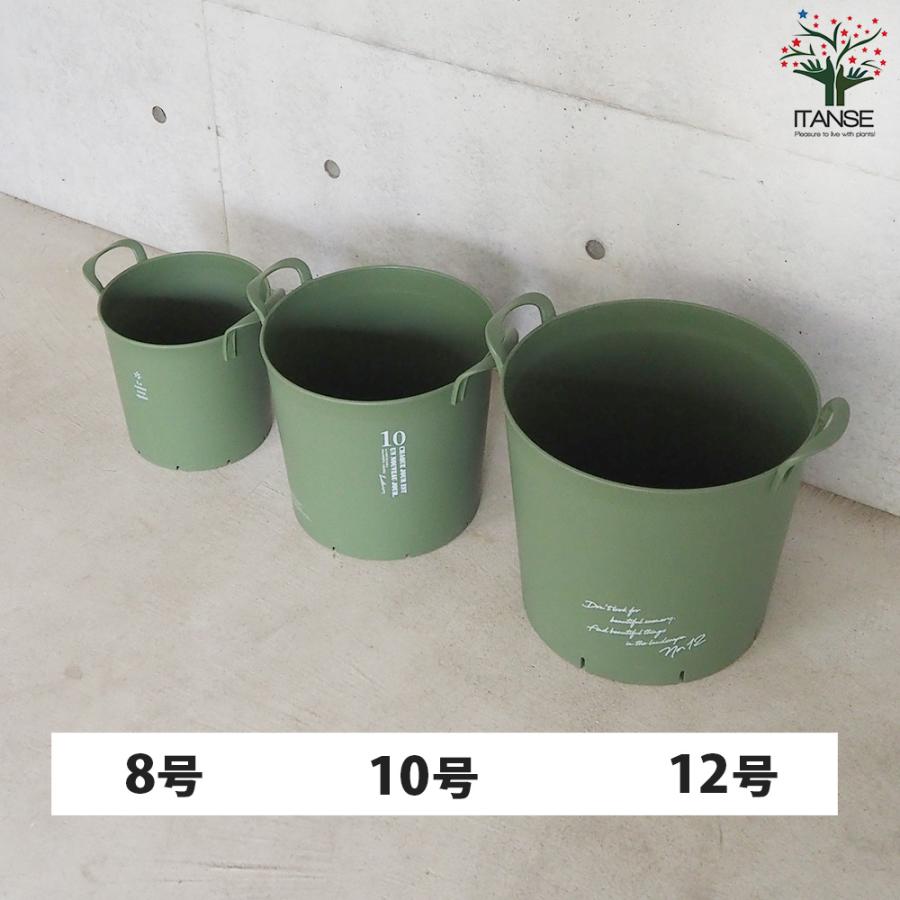 ITANSE ハンドリーポット グリーン 8号・10号・12号各1個 資材 /1個売り 植木鉢 鉢植え 鉢 取っ手 野菜 花 イタンセ公式の画像
