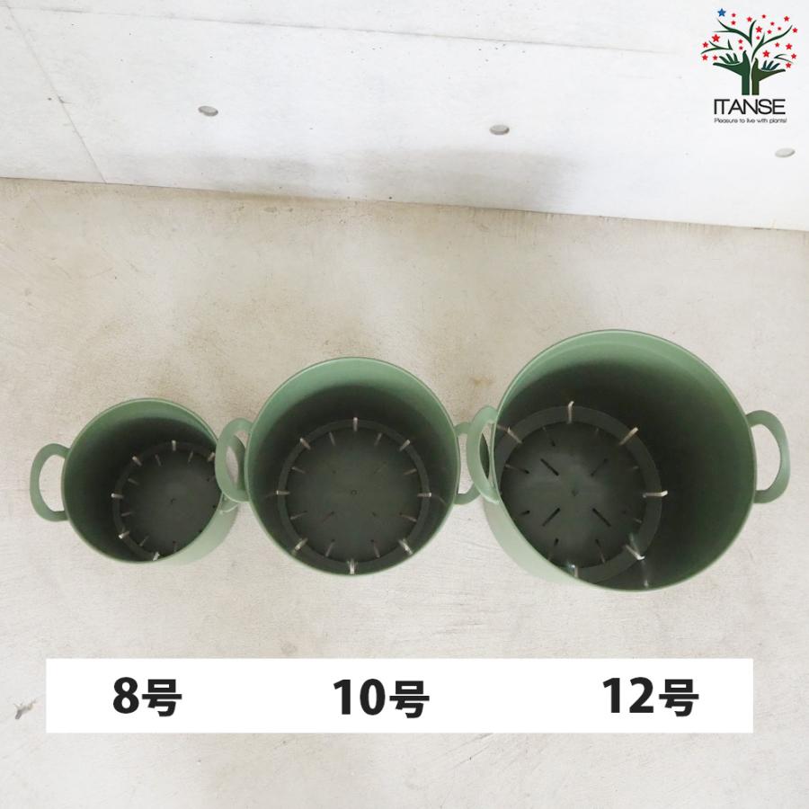 ITANSE ハンドリーポット グリーン 8号・10号・12号各1個 資材 /1個売り 植木鉢 鉢植え 鉢 取っ手 野菜 花 イタンセ公式の画像