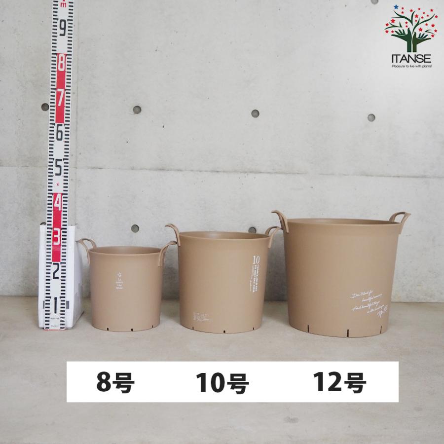 ITANSE ハンドリーポット ブラウン 8号・10号・12号各1個 資材 /1個売り 植木鉢 鉢植え 鉢 取っ手 野菜 花 イタンセ公式の画像