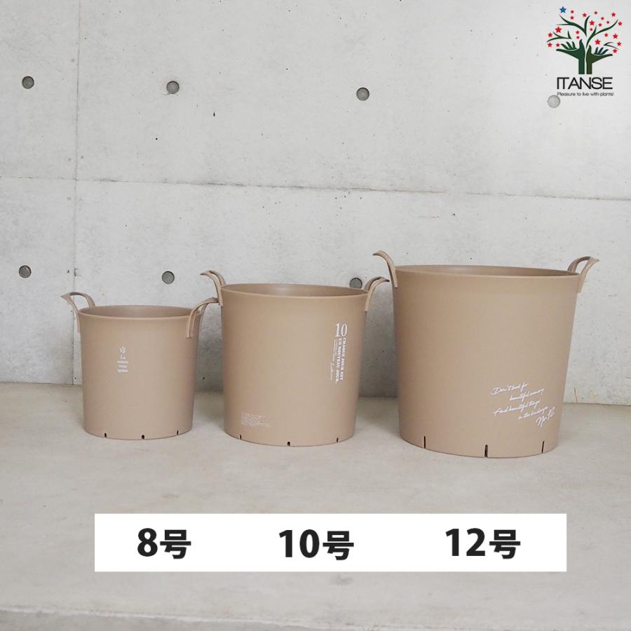 ITANSE ハンドリーポット ブラウン 8号・10号・12号各1個 資材 /1個売り 植木鉢 鉢植え 鉢 取っ手 野菜 花 イタンセ公式の画像