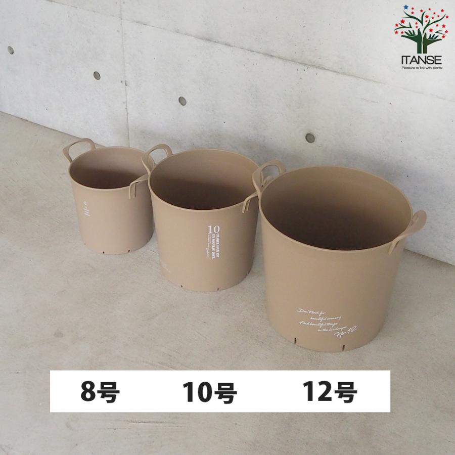 ITANSE ハンドリーポット ブラウン 8号・10号・12号各1個 資材 /1個売り 植木鉢 鉢植え 鉢 取っ手 野菜 花 イタンセ公式の画像