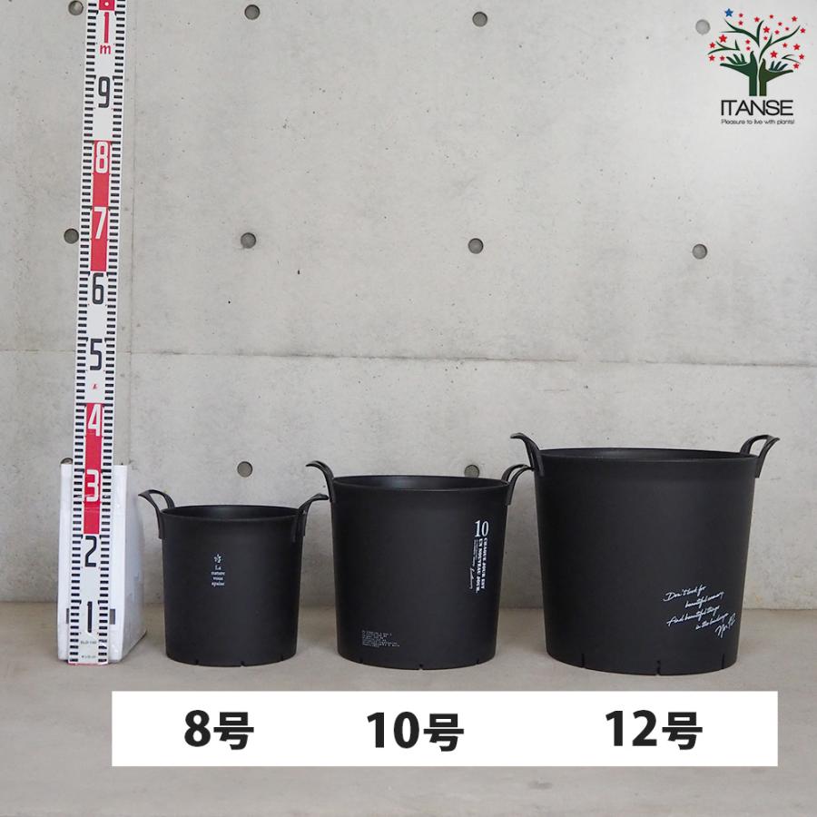 ITANSE ハンドリーポット ブラック 8号・10号・12号各1個 資材 /1個売り 植木鉢 鉢植え 鉢 取っ手 野菜 花 イタンセ公式の画像