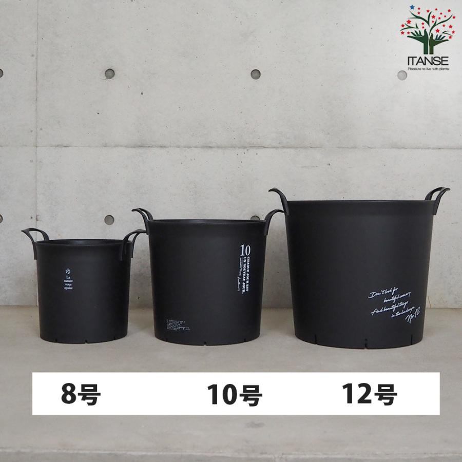 ITANSE ハンドリーポット ブラック 8号・10号・12号各1個 資材 /1個売り 植木鉢 鉢植え 鉢 取っ手 野菜 花 イタンセ公式の画像