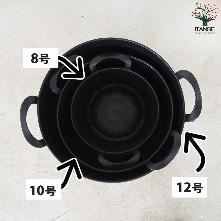 ITANSE ハンドリーポット ブラック 8号・10号・12号各1個 資材 /1個売り 植木鉢 鉢植え 鉢 取っ手 野菜 花 イタンセ公式の画像
