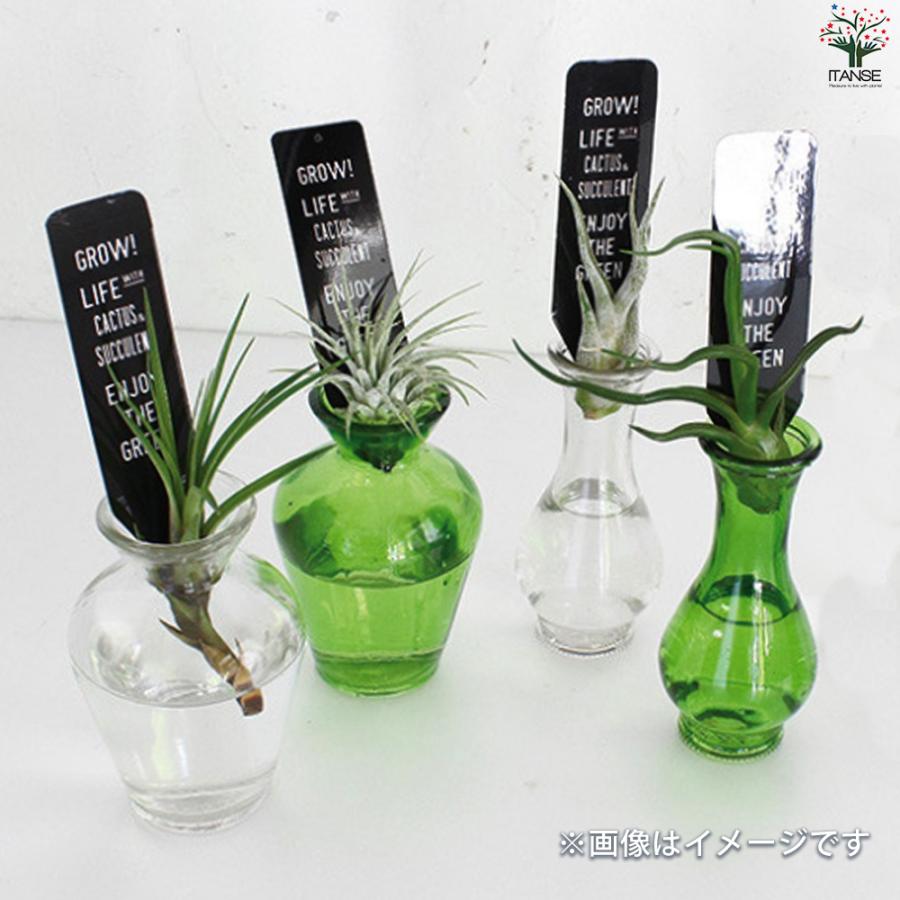 ITANSE 小さなガラス花瓶 タイニーLサイズ(No.3) 色：グリーン 資材 /お買い得24個セット 花瓶 イタンセ公式_8