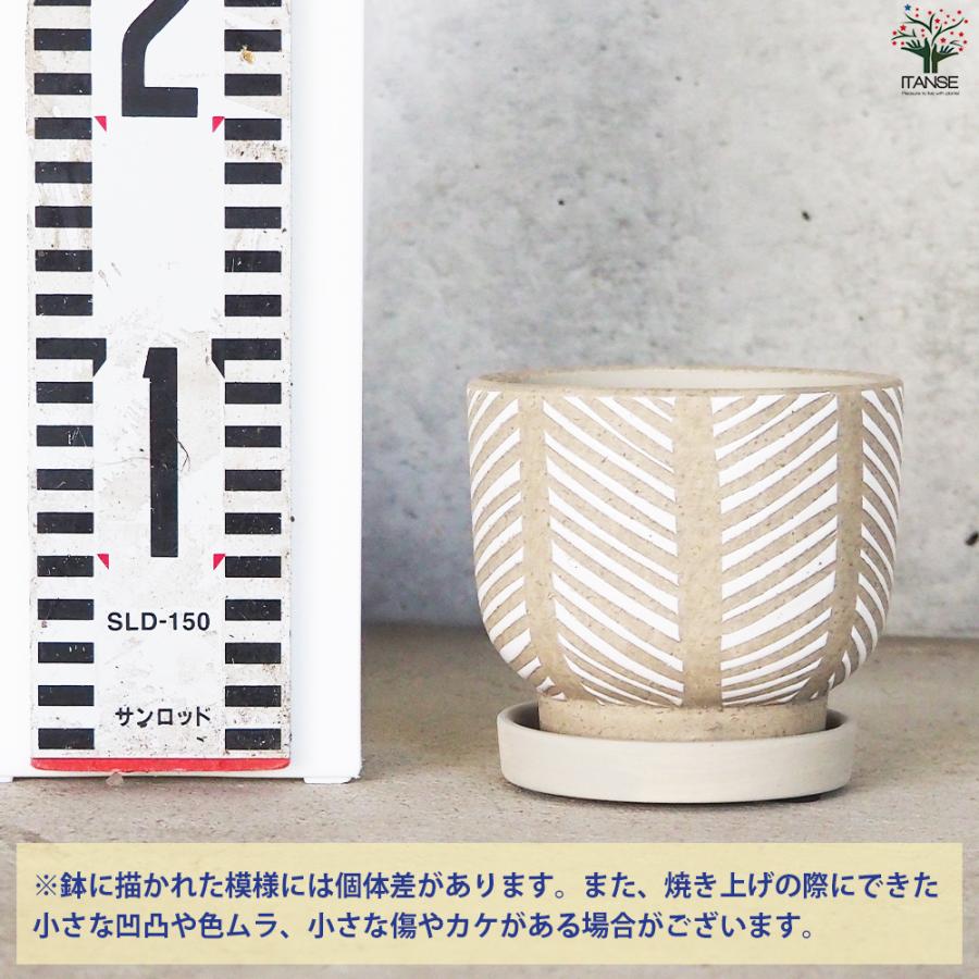 ITANSE 皿付陶器鉢 ヘリンボーン 資材 10cm/お買い得4個セット 植木鉢 鉢 鉢植え 陶器 おしゃれ 北欧 イタンセ公式の画像