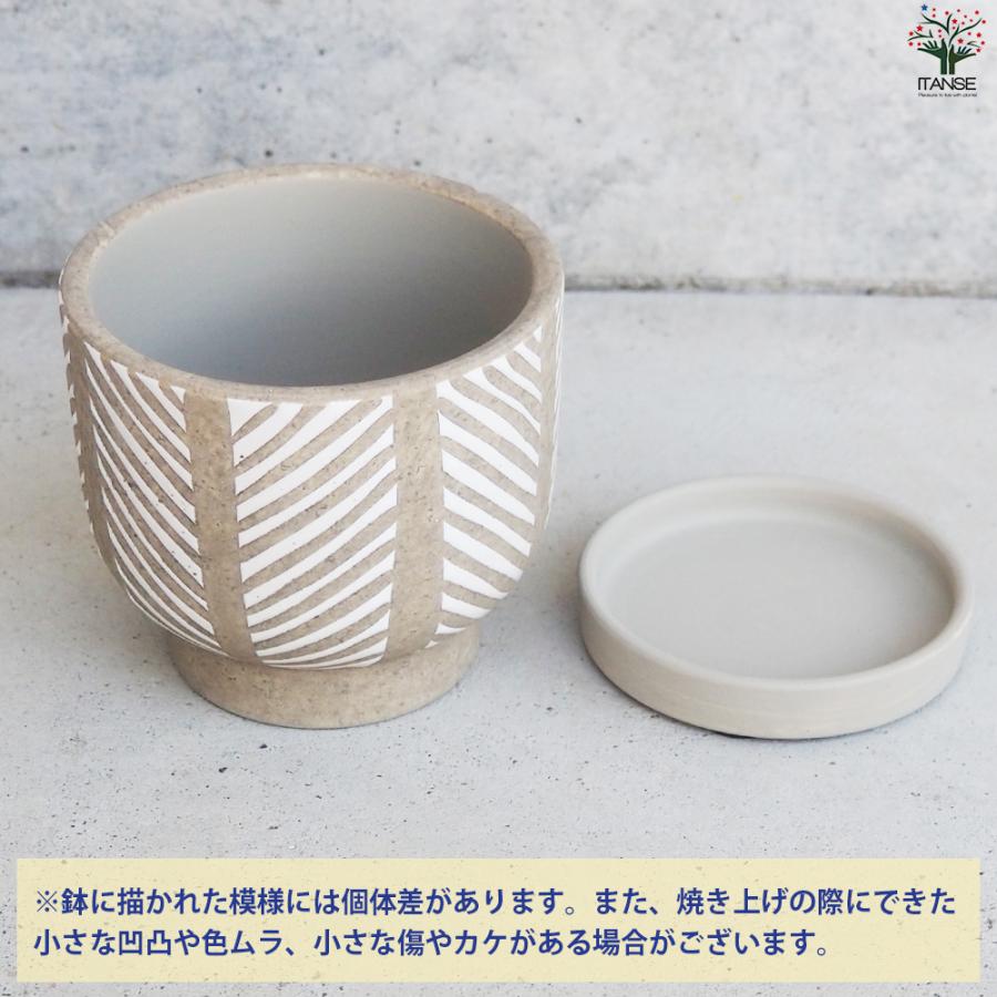 ITANSE 皿付陶器鉢 ヘリンボーン 資材 10cm/お買い得4個セット 植木鉢 鉢 鉢植え 陶器 おしゃれ 北欧 イタンセ公式の画像