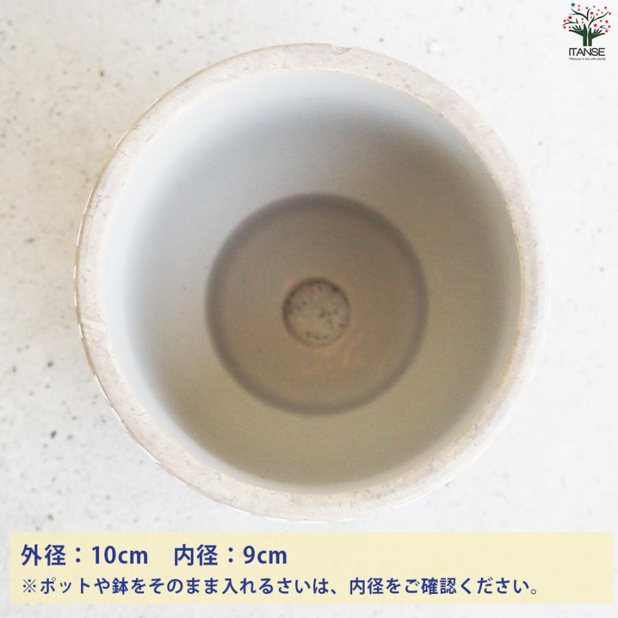 ITANSE 皿付陶器鉢 ヘリンボーン 資材 10cm/お買い得4個セット 植木鉢 鉢 鉢植え 陶器 おしゃれ 北欧 イタンセ公式の画像