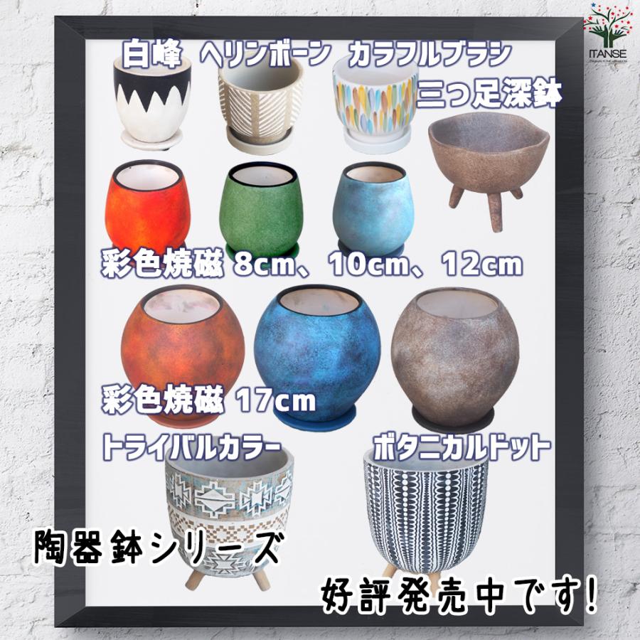 ITANSE 皿付陶器鉢 ヘリンボーン 資材 10cm/お買い得4個セット 植木鉢 鉢 鉢植え 陶器 おしゃれ 北欧 イタンセ公式の画像