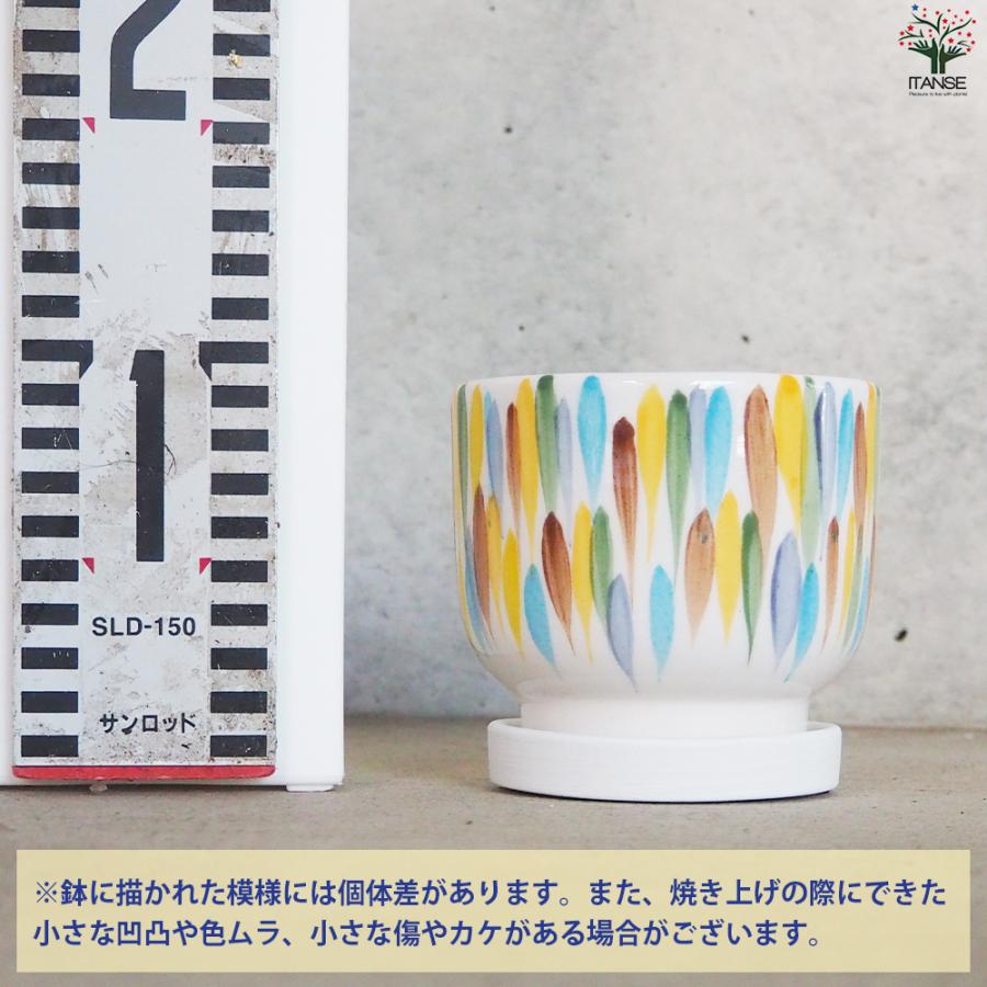 ITANSE 皿付陶器鉢 カラフルブラシ 資材 10cm/お買い得4個セット 植木鉢 鉢 鉢植え 陶器 おしゃれ 北欧 イタンセ公式の画像